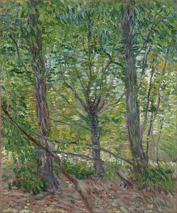 1-trees-vincent-van-gogh