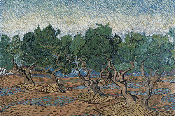 2-olive-grove-vincent-van-gogh