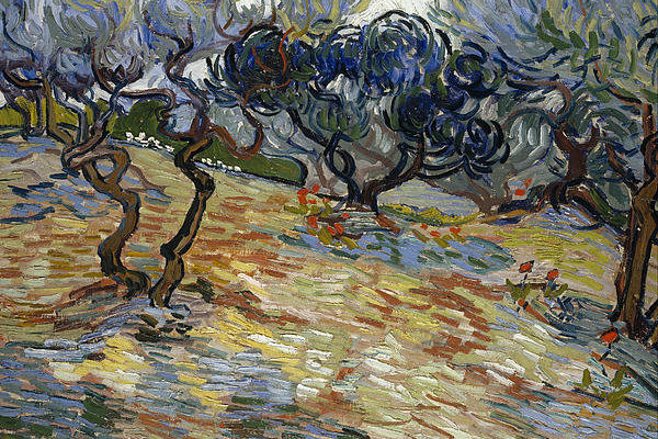 7-olive-trees-vincent-van-gogh