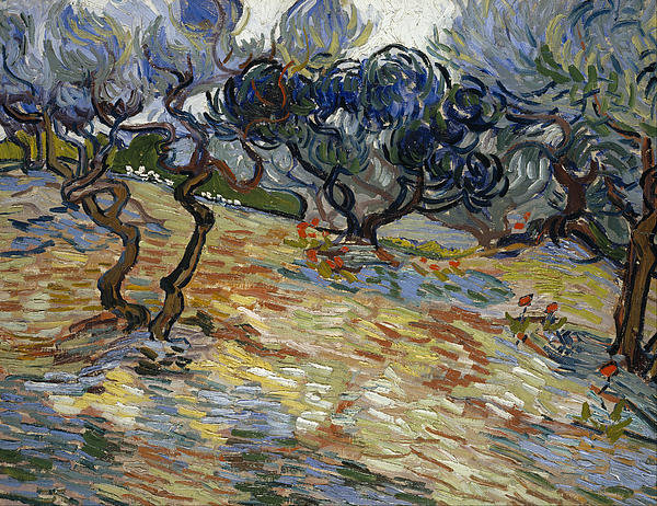 7-olive-trees-vincent-van-gogh