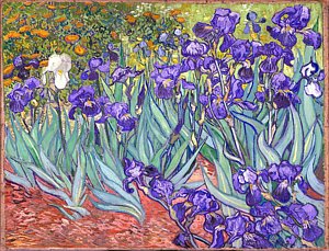 purple-irises-vincent-van-gogh