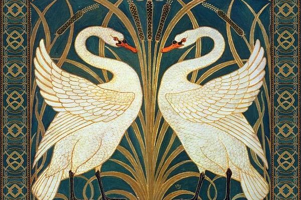 Two Swans Print